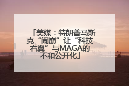 美媒：特朗普马斯克“闹崩”让“科技右翼”与MAGA的不和公开化