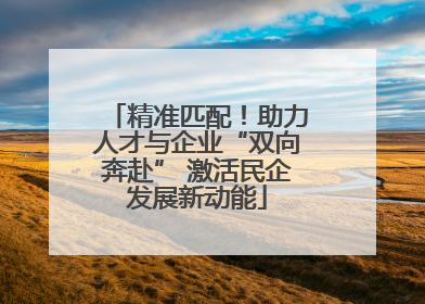 精准匹配！助力人才与企业“双向奔赴” 激活民企发展新动能