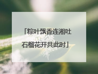 粽叶飘香连湘吐 石榴花开共此时