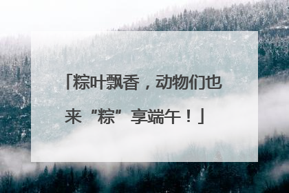 粽叶飘香，动物们也来“粽”享端午！