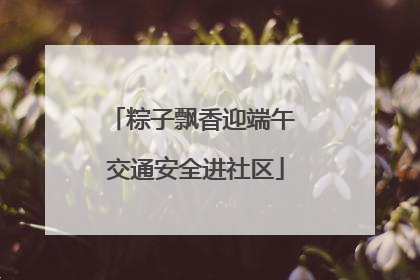 粽子飘香迎端午 交通安全进社区
