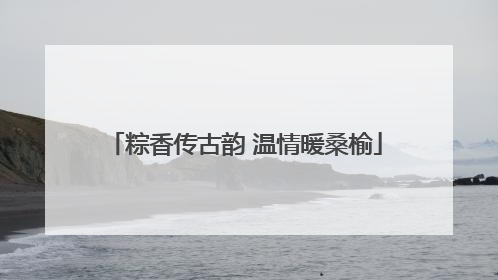 粽香传古韵 温情暖桑榆