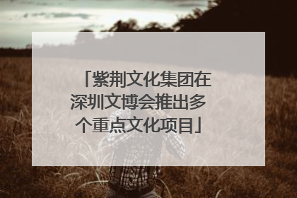 紫荆文化集团在深圳文博会推出多个重点文化项目