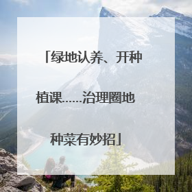 绿地认养、开种植课……治理圈地种菜有妙招