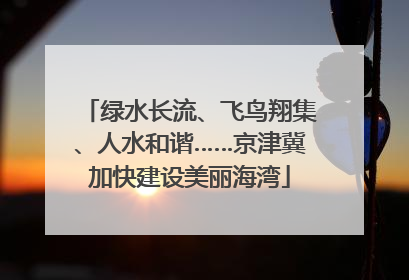 绿水长流、飞鸟翔集、人水和谐……京津冀加快建设美丽海湾