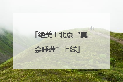 绝美！北京“莫奈睡莲”上线