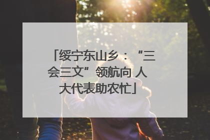 绥宁东山乡：“三会三文”领航向 人大代表助农忙