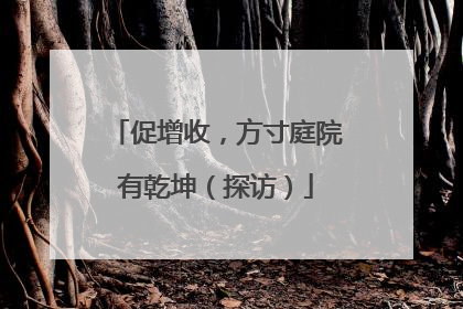 促增收，方寸庭院有乾坤（探访）