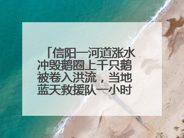 信阳一河道涨水冲毁鹅圈上千只鹅被卷入洪流，当地蓝天救援队一小时赶鹅上岸