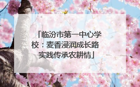 临汾市第一中心学校：麦香浸润成长路 实践传承农耕情
