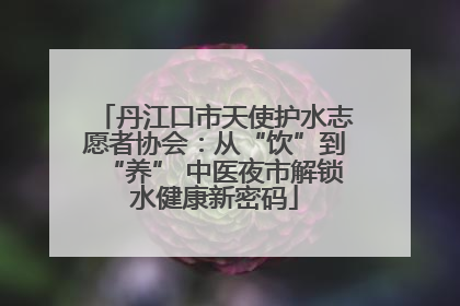 丹江口市天使护水志愿者协会：从“饮”到“养” 中医夜市解锁水健康新密码