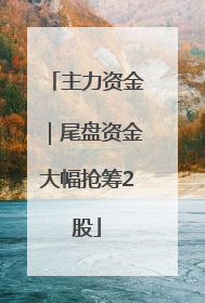 主力资金｜尾盘资金大幅抢筹2股