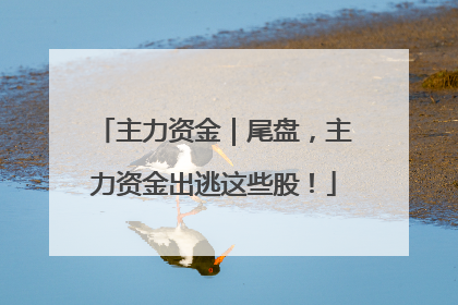 主力资金｜尾盘，主力资金出逃这些股！