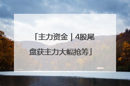 主力资金｜4股尾盘获主力大幅抢筹