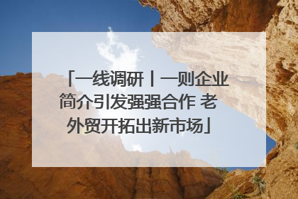 一线调研丨一则企业简介引发强强合作 老外贸开拓出新市场