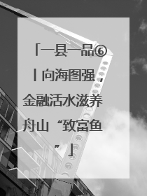 一县一品⑥丨向海图强，金融活水滋养舟山“致富鱼”