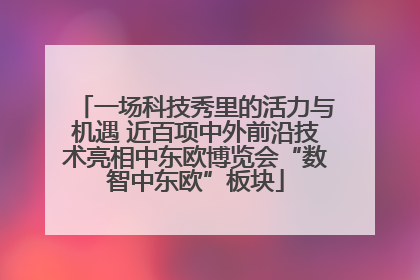 一场科技秀里的活力与机遇 近百项中外前沿技术亮相中东欧博览会“数智中东欧”板块