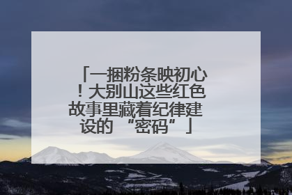 一捆粉条映初心！大别山这些红色故事里藏着纪律建设的 “密码”