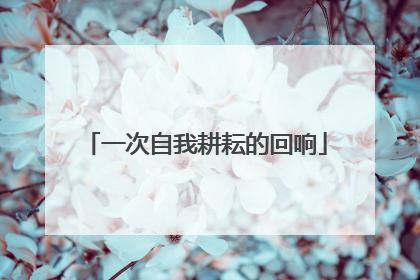 一次自我耕耘的回响