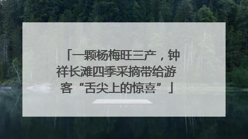一颗杨梅旺三产，钟祥长滩四季采摘带给游客“舌尖上的惊喜”
