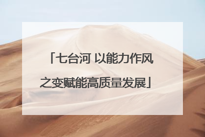 七台河 以能力作风之变赋能高质量发展