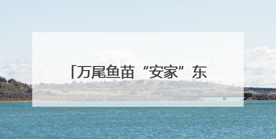 万尾鱼苗“安家”东海 浙江海洋增殖放流活动在台州启幕
