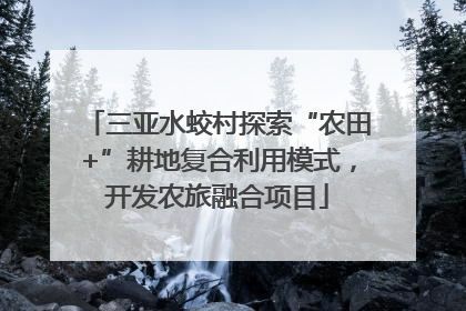 三亚水蛟村探索“农田+”耕地复合利用模式，开发农旅融合项目