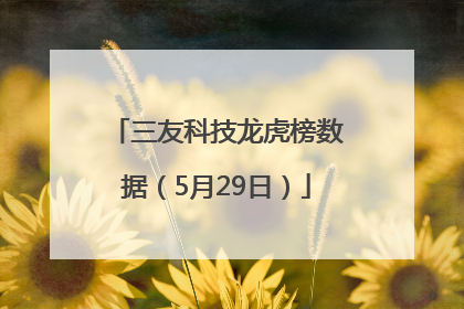 三友科技龙虎榜数据（5月29日）