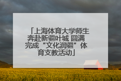上海体育大学师生奔赴新疆叶城 圆满完成“文化润疆”体育支教活动