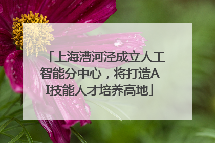 上海漕河泾成立人工智能分中心，将打造AI技能人才培养高地