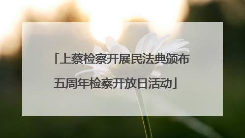 上蔡检察开展民法典颁布五周年检察开放日活动