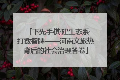 下先手棋·建生态系·打数智牌——河南文旅热背后的社会治理答卷