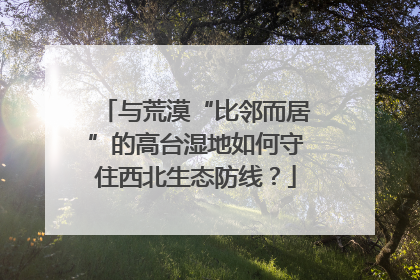 与荒漠“比邻而居”的高台湿地如何守住西北生态防线？