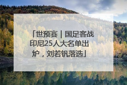 世预赛｜国足客战印尼25人大名单出炉，刘若钒落选