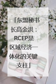 东盟秘书长高金洪：RCEP是区域经济一体化的关键支柱