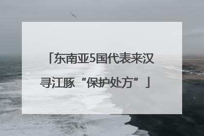 东南亚5国代表来汉寻江豚“保护处方”