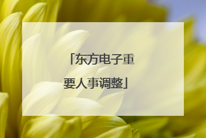 东方电子重要人事调整