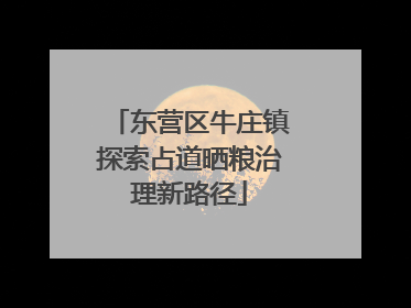 东营区牛庄镇探索占道晒粮治理新路径