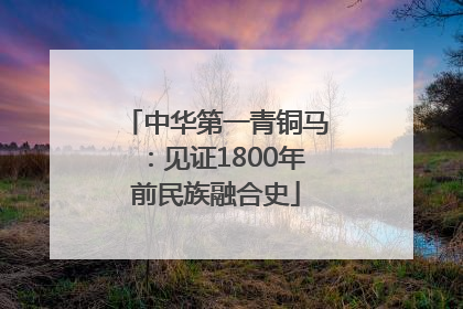 中华第一青铜马：见证1800年前民族融合史
