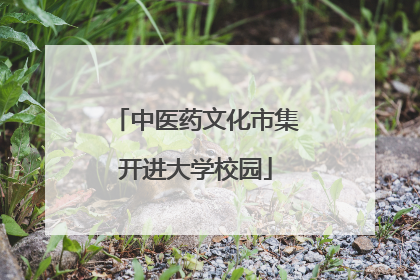 中医药文化市集开进大学校园