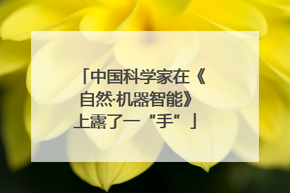 中国科学家在《自然·机器智能》上露了一“手”