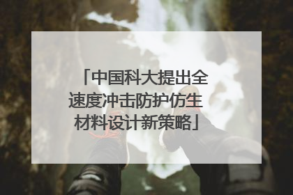 中国科大提出全速度冲击防护仿生材料设计新策略