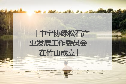 中宝协绿松石产业发展工作委员会在竹山成立