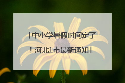 中小学暑假时间定了！河北1市最新通知