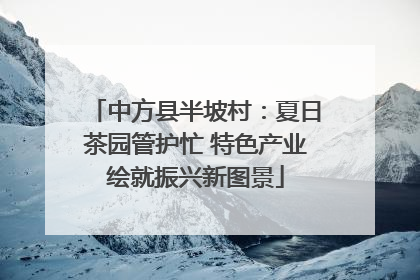 中方县半坡村：夏日茶园管护忙 特色产业绘就振兴新图景