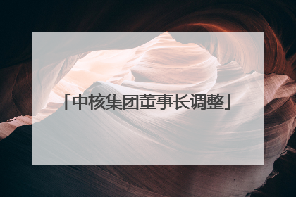 中核集团董事长调整