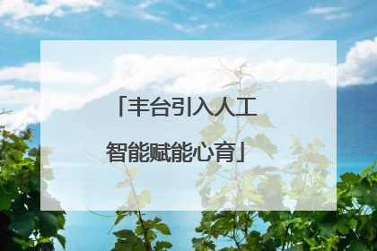 丰台引入人工智能赋能心育