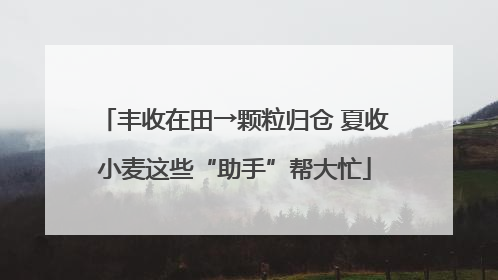 丰收在田→颗粒归仓 夏收小麦这些“助手”帮大忙