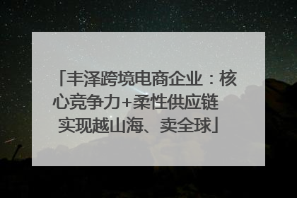 丰泽跨境电商企业：核心竞争力+柔性供应链 实现越山海、卖全球