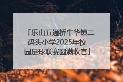 乐山五通桥牛华镇二码头小学2025年校园足球联赛圆满收官